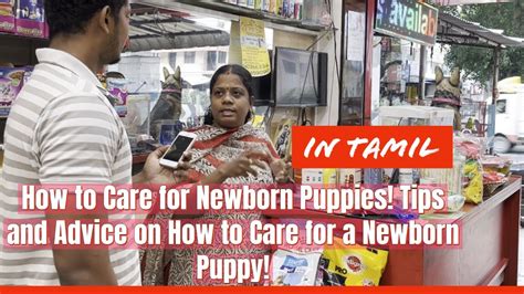 How To Care For Newborn Puppies Tips And Advice On How To Care For A