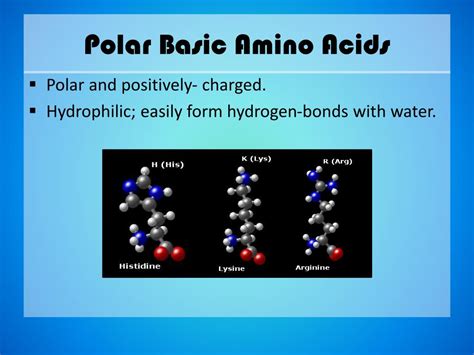 Ppt Amino Acids Powerpoint Presentation Free Download Id 2142280