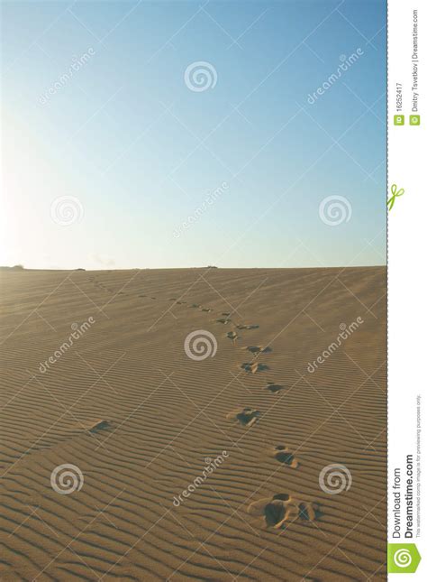 Pegadas Em Dunas De Areia Imagem De Stock Imagem De Ningu M