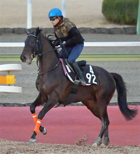 【共同通信杯】シャフリヤール大器 能力“チラ見せ”圧巻の新馬戦vからさらに進化 競馬ニュース