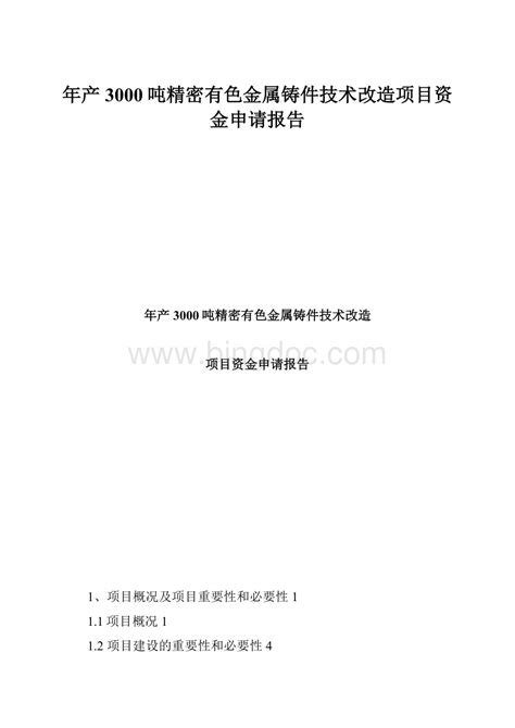 年产3000吨精密有色金属铸件技术改造项目资金申请报告docx 冰点文库