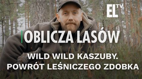 Wild wild Kaszuby Powrót leśniczego Zdobka Oblicza lasów 76 Lasy