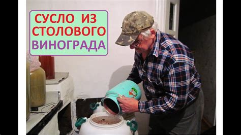 СТОЛОВОЕ ВИНО из мезги отделяем СУСЛО - YouTube