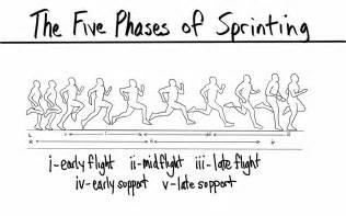 Sprinting Technique Diagram