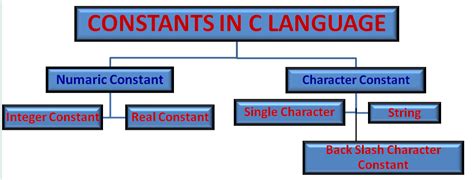 Mcs Problem Solving And Programming Mca Ignou Unit Variables