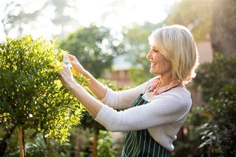 Plantas Femeninas Felices De La Poda Del Jardinero El D A Soleado Foto