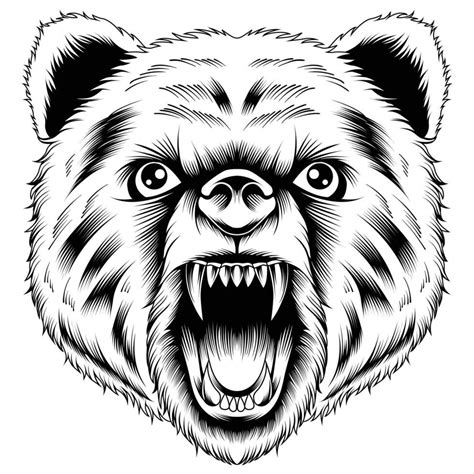 Bear head vector illustration 23368318 Vector Art at Vecteezy