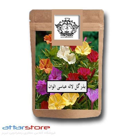 بذر گل لاله عباسی الوان خرید قیمت و نحوه کاشت عطاری زعفرانچی