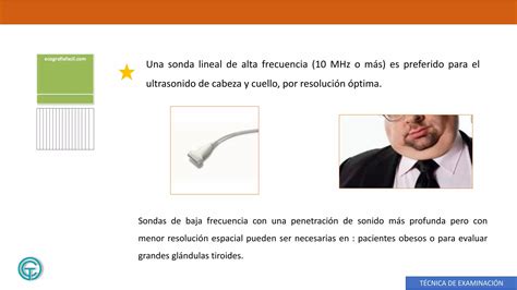 Us Tiroides Ultrasonido De Tiroides Ppt