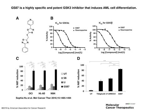 GS87 Is A Highly Specific And Potent GSK3 Inhibitor That Induces AML