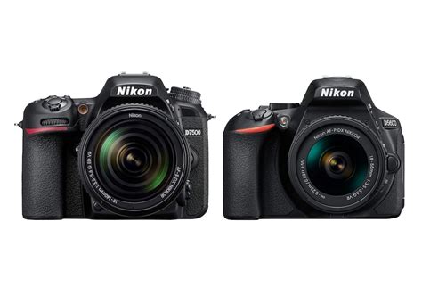 Nikon D7500 vs D5600 – Comparison - GearOpen.com