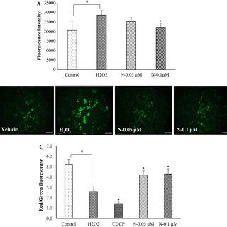 Cytoprotective Effect Of Carotenoids N Neoxanthin L Lutein B