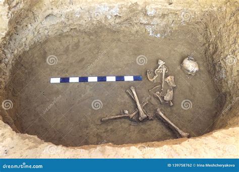 Archaeological Excavations Man And Finds Bones Of A Skeleton In A Human