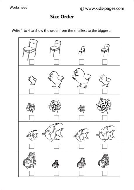 Size Order Worksheet