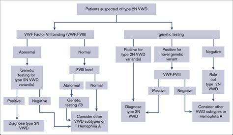 Updated guidelines for the diagnosis of Von Willebrand disease - BJH