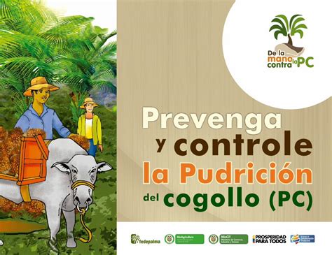 Pdf La Pudrici N Del Cogollo Fitosanitario Pudrici N Del Cogollo