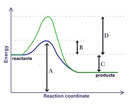 Enzyme Graph