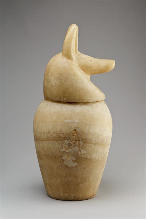 Canopic Jars Jackal