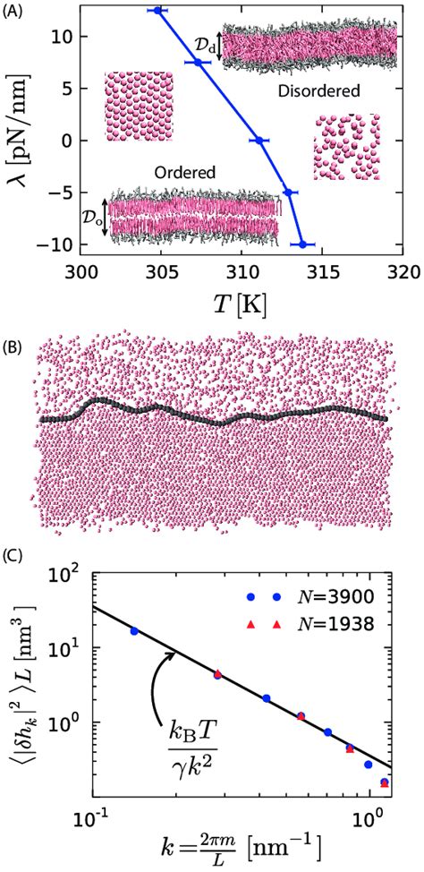 A Order Disorder Phase Diagram In The Tension Temperature T