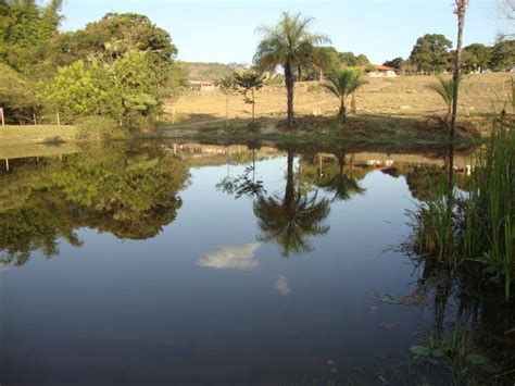 Fazenda Para Venda Em Claudio