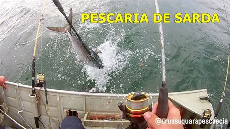 Pescaria Em Alto Mar Sea Fishing YouTube