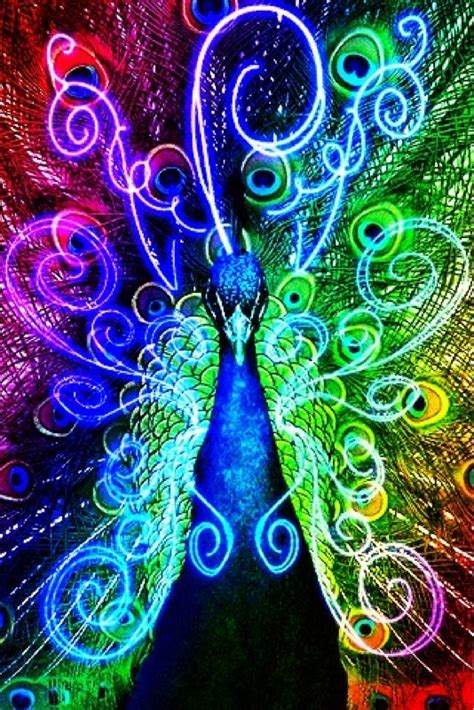 rainbow peacock by icebatwarrior99 on DeviantArt