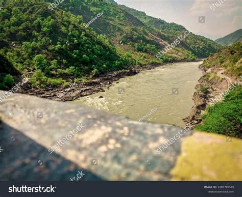 top view greenry images stock  vectors shutterstock