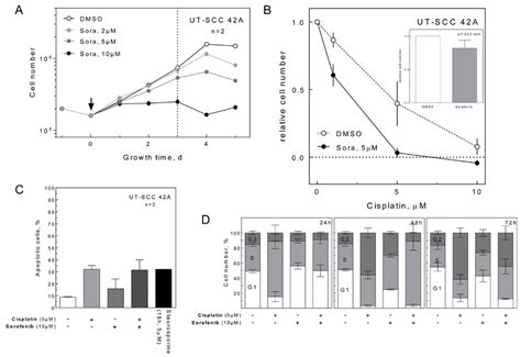 Effect Of Sorafenib On Proliferation Apoptosis And Cell Cycle A