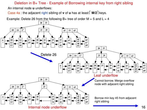 PPT - B+-Tree Deletion PowerPoint Presentation, free download - ID:5700947