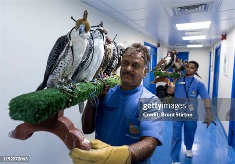 Abu Dhabi Falcon Hospital Photos and Premium High Res Pictures - Getty ...