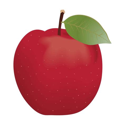 Apple Fresh Fruit Vector Art At Vecteezy