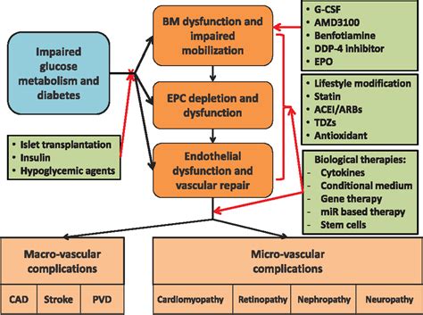 Figure 2 From Specific Role Of Impaired Glucose Metabolism And Diabetes