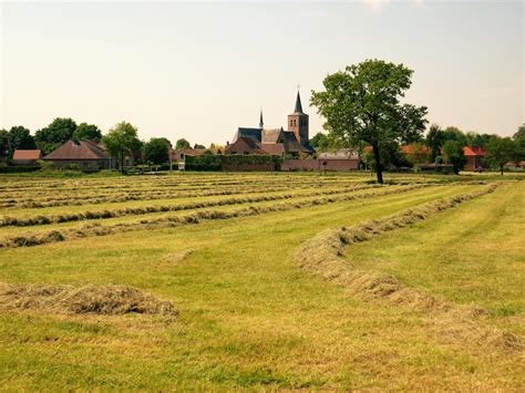 Fietsen Langs Kempens Platteland En Natuur Regionale Landschappen