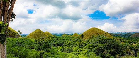 Bohol Day Tour Package (Pick up from Bohol) | Island Trek Tours