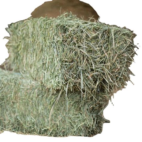 High Protein Rhodes Grass Hay With Natural Nutritional Aspects Best For