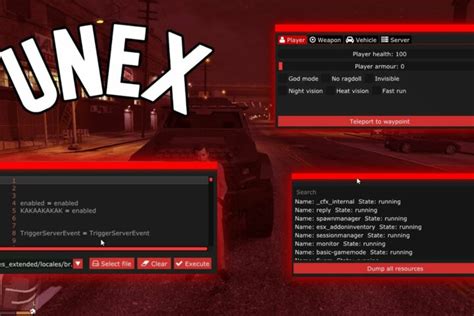 Fivem Cheat Tool Unex ️undetected ️cheapest In 2021 Cheating