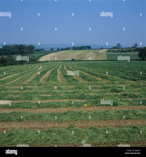 Ley linien -Fotos und -Bildmaterial in hoher Auflösung – Alamy