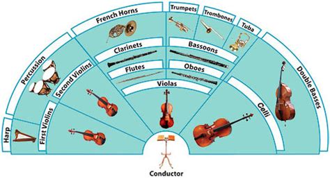 Layout of the Orchestra - Instruments in the Orchestra