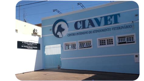 Home Ciavet Centro Intensivo De Atendimento Veterin Rio Ciavet