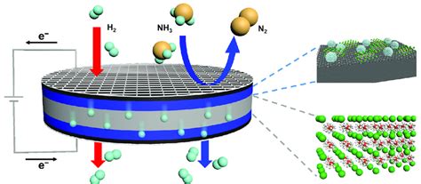 Scheme 1 Schematic Illustration Of Electrocatalytic Hydrogen Oxidation