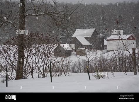Lake Effect Snow Michigan Hi Res Stock Photography And Images Alamy