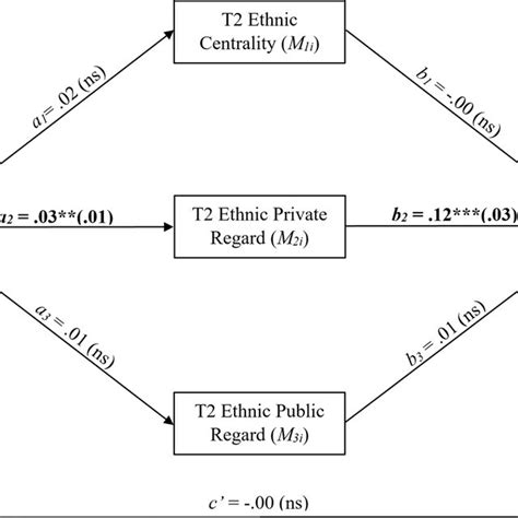 Conceptual Diagram Of Parallel Multiple Mediation Model A Conceptual