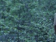 Naked Stasi Esper In Dark Moon Rising II