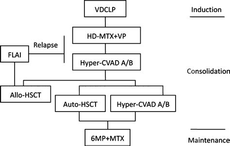 Fludarabine Idarubicin And Cytarabine Regimen Together With Tki