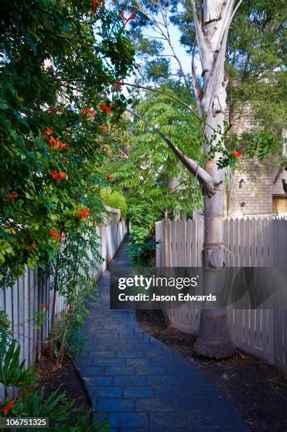 41 Hawthorn East Melbourne Stock Photos, High-Res Pictures, and Images ...