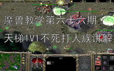 第六十六期：《魔兽争霸3》零基础教学 天梯1v1不死打人族讲解哔哩哔哩bilibili冰封王座