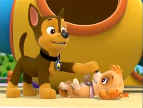 Skye X Chase Skye And Chase Paw Patrol Photo 39995227 Fanpop