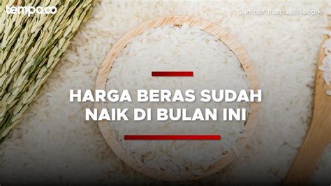 BPS Sebut Harga Beras Naik Pada Februari Ini 5 Daerah Dengan Harga