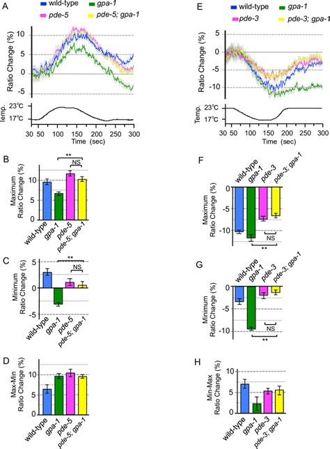 Genetic Epistasis Between Pde And G Mutations On Temperature