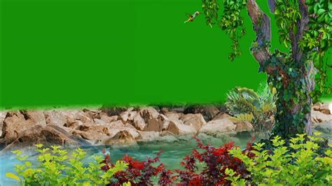 Nature Green Screen Green Screen Effects River Green Screen Background Video Effects Hd